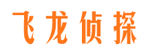 定安侦探